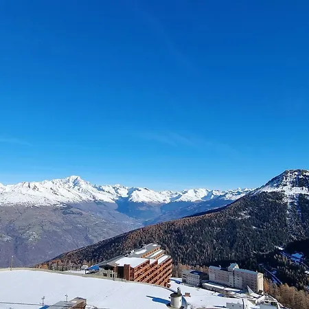 Confortable - Acces Pistes, Animaux Admis - Fr-1-181-2712 La Plagne